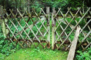 fence-436569_640(6)