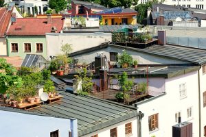 roof-terrace-790426_640